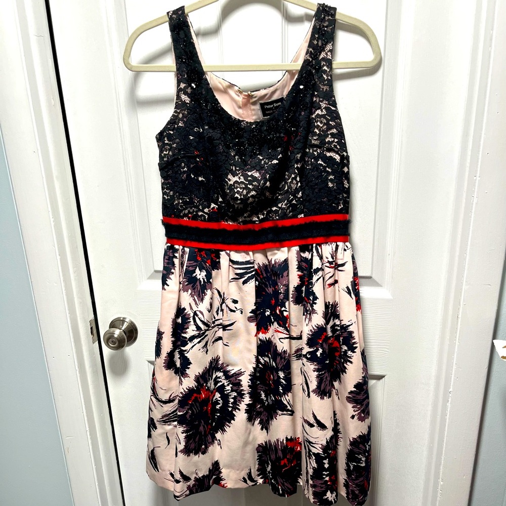 Anthropologie Peter Som “Painted Brushstroke” party dress.  Size 10 .